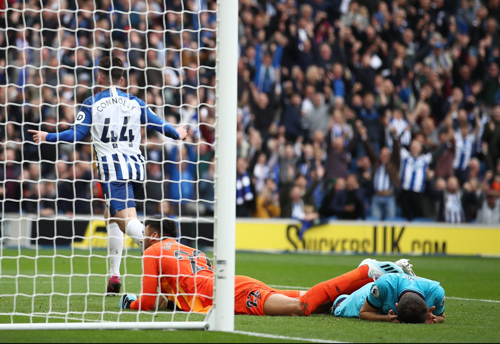 徐新與所屬 徐新與所屬